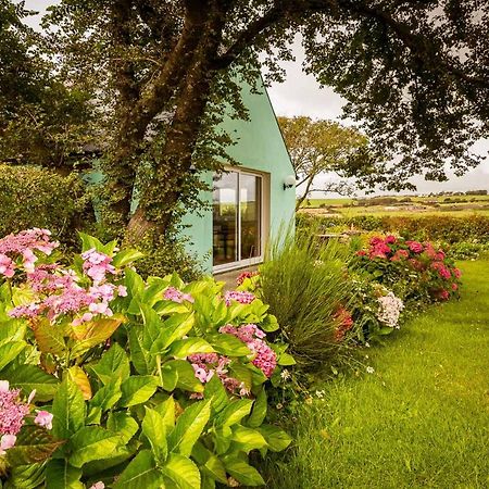 The Wild Atlantic Hideaway Lejlighed Clonakilty Eksteriør billede