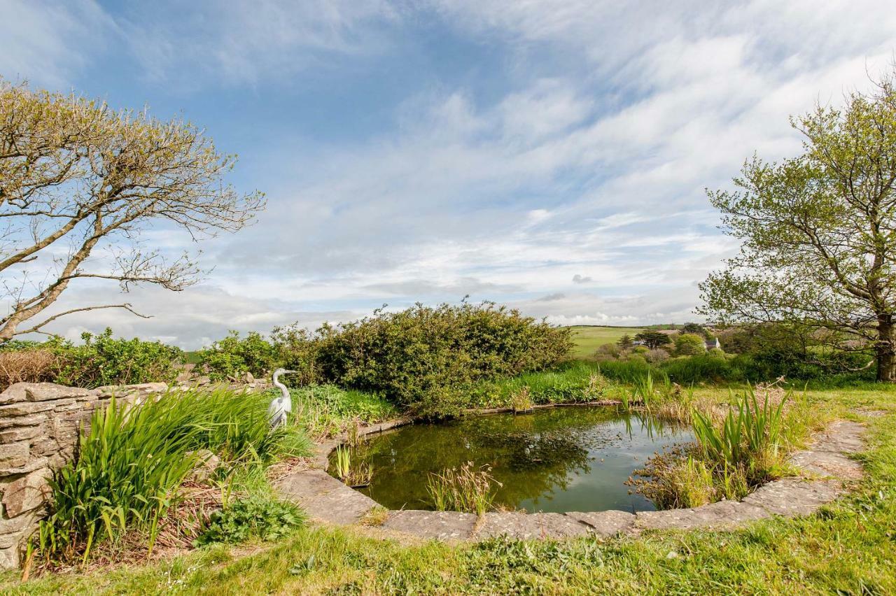 The Wild Atlantic Hideaway Lejlighed Clonakilty Eksteriør billede